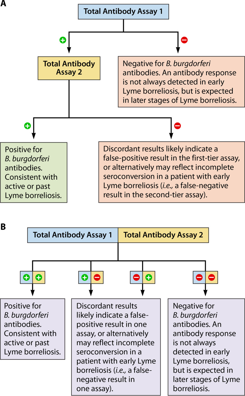 FIG 6