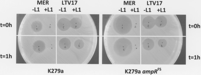 FIG 4