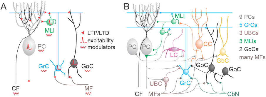 Figure 4.