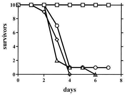 FIG. 5.