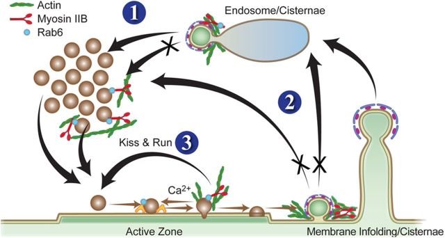 Figure 11.