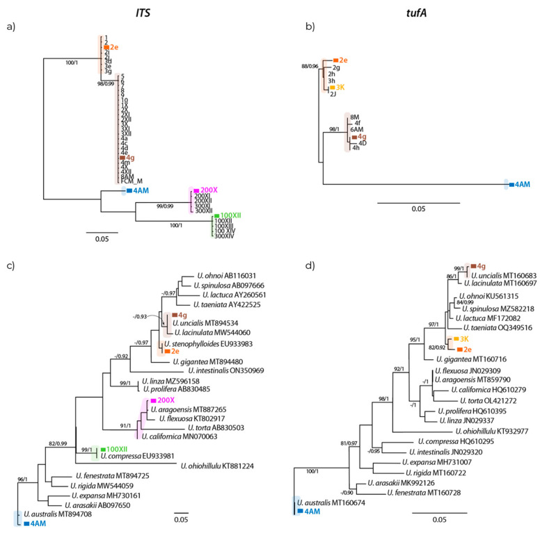 Figure 11