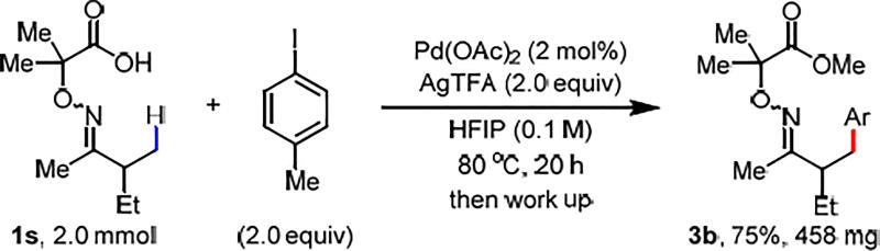 Scheme 3