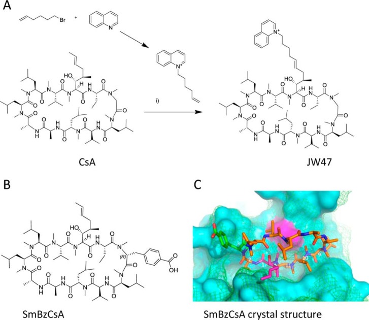 FIGURE 1.