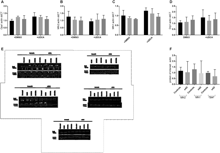 Supplementary Fig. 1