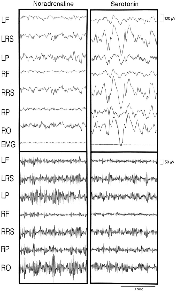 Fig. 9.