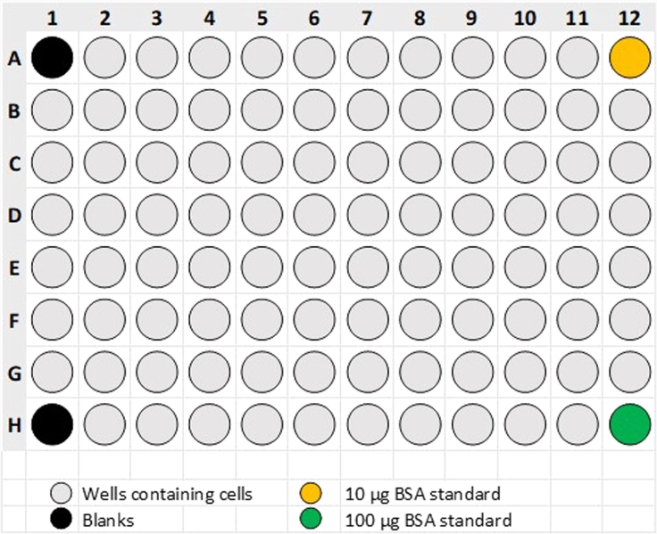 Figure 3