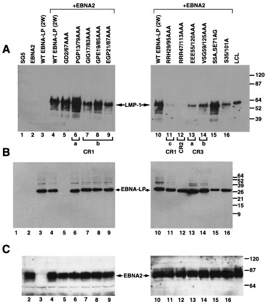 FIG. 8