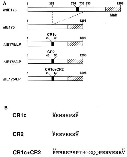 FIG. 5