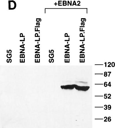 FIG. 8