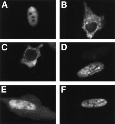 FIG. 6