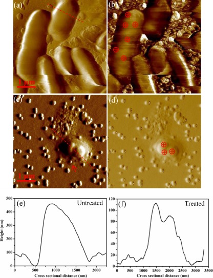 Fig 2