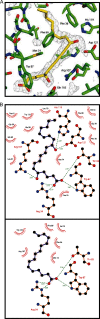 FIGURE 3.