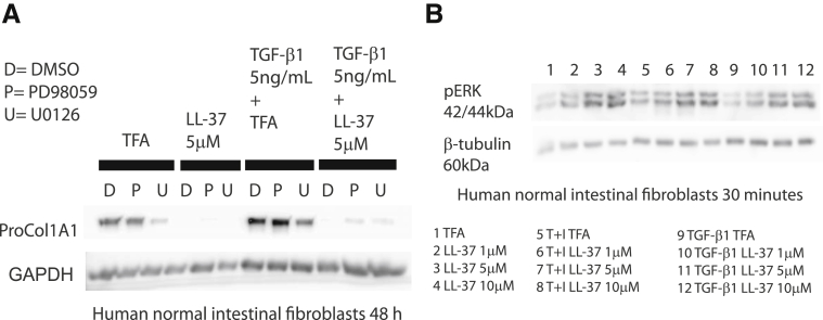 Figure 12