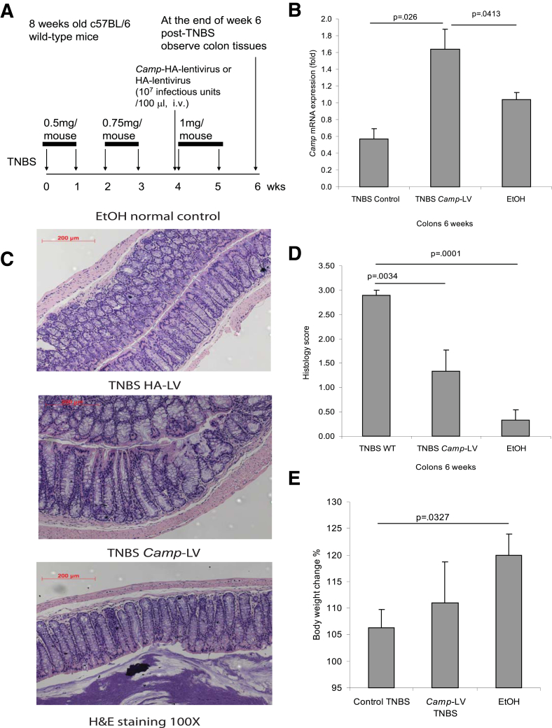 Figure 6