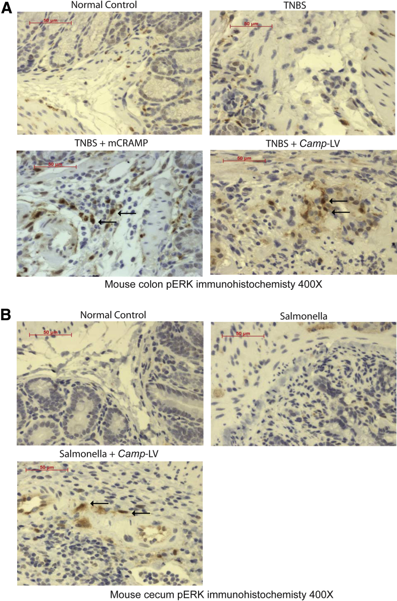 Figure 14