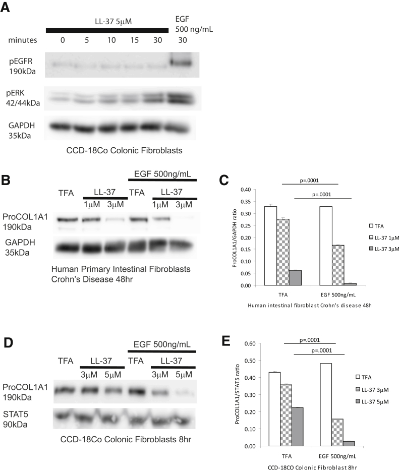 Figure 13