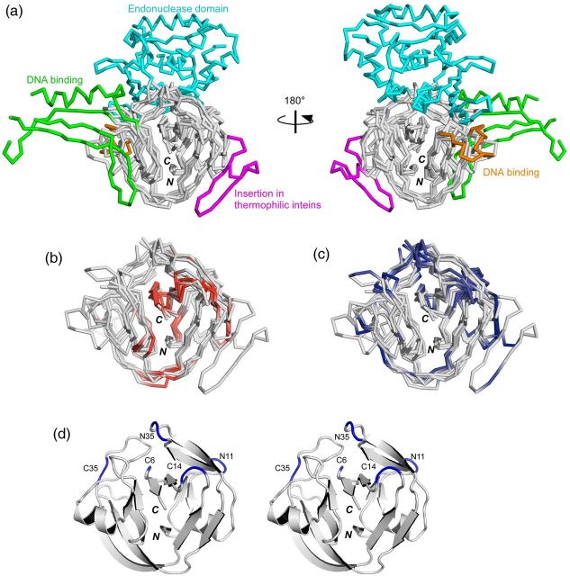 Fig. 2.