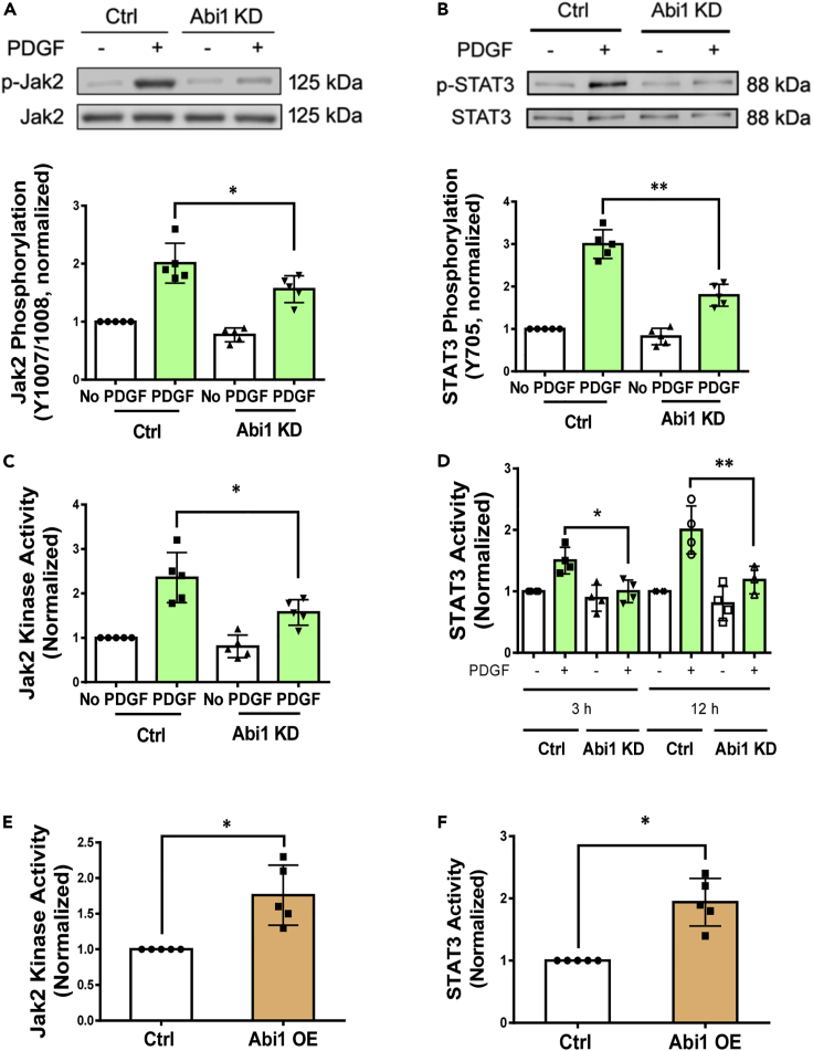 Figure 3