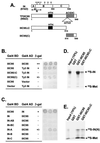 FIG. 6