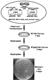 FIG. 1