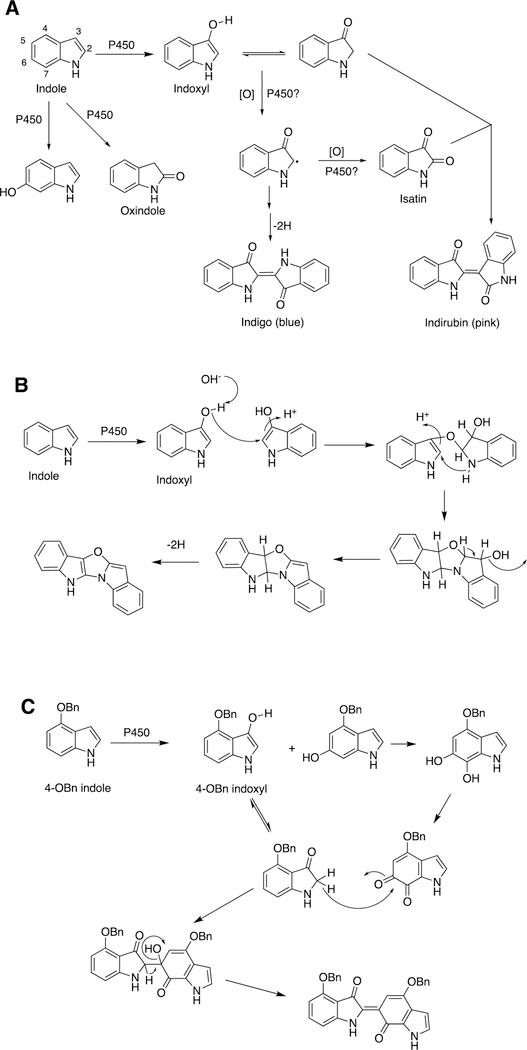 Figure 16.