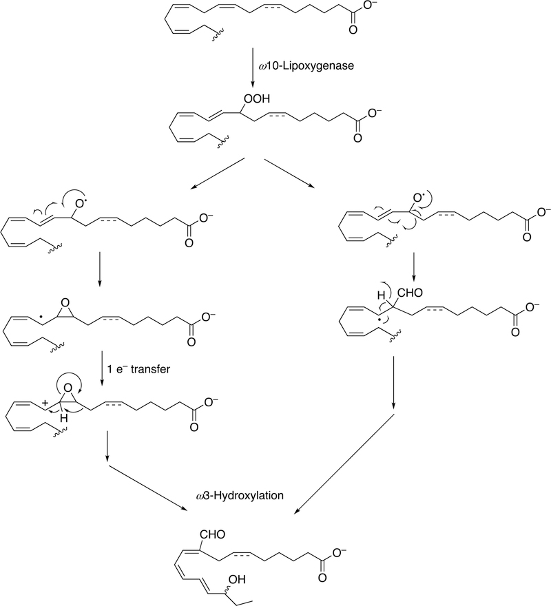 Figure 35.