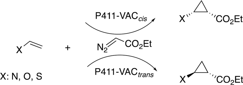 Figure 21.