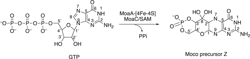 Figure 45.