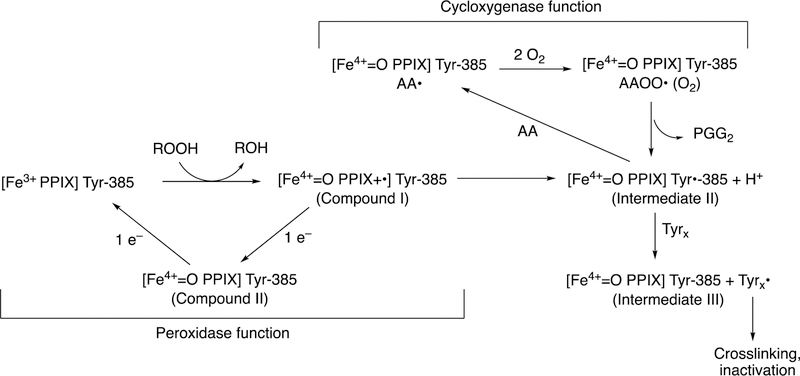 Figure 30.