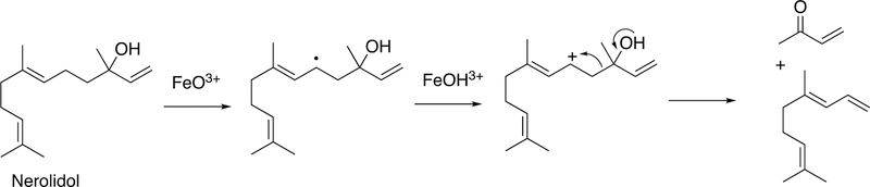 Figure 100.