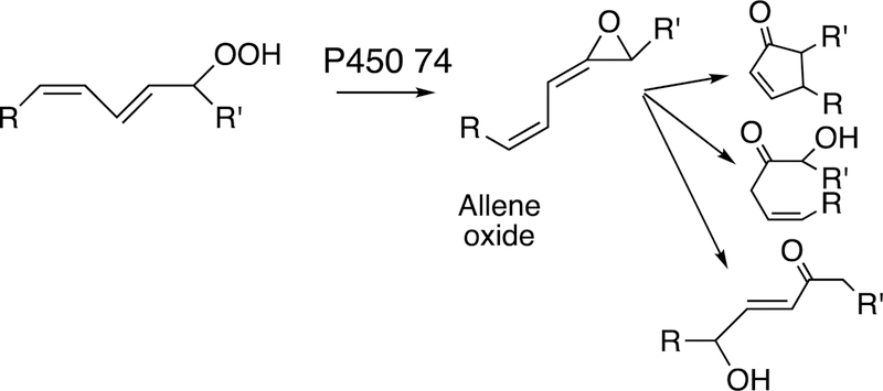 Figure 32.