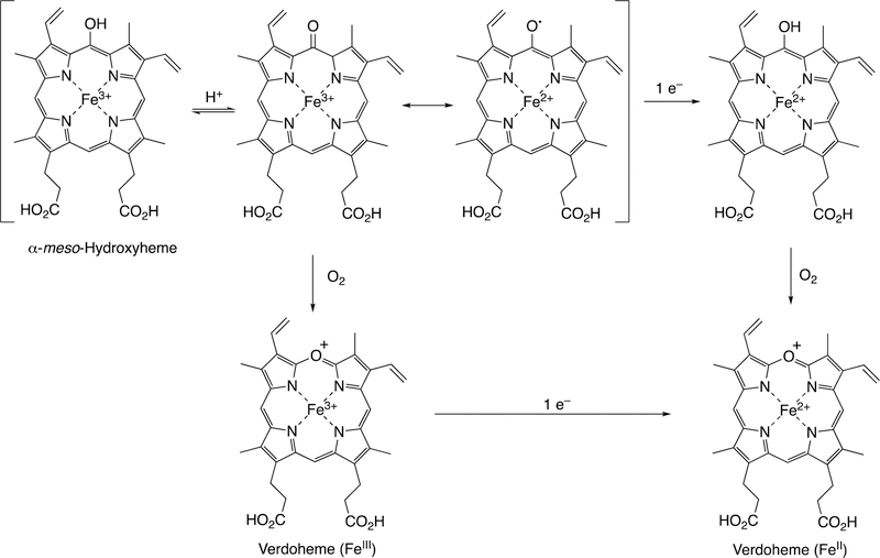 Figure 121.