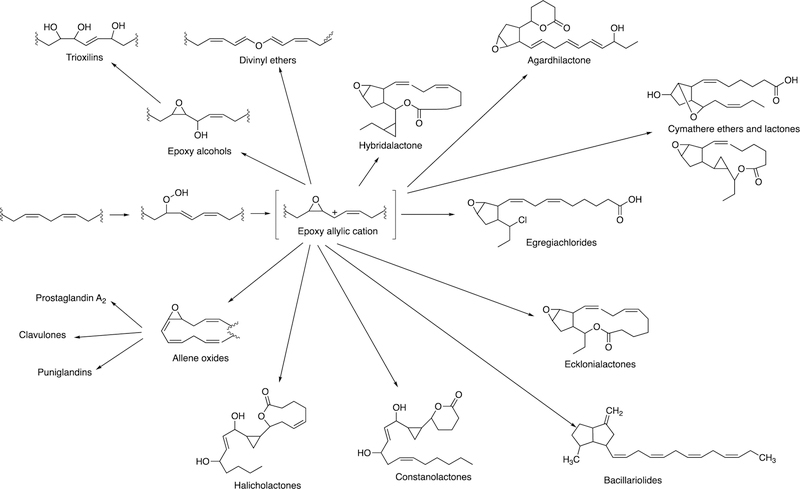 Figure 34.