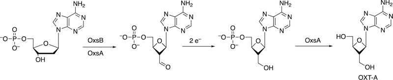 Figure 43.