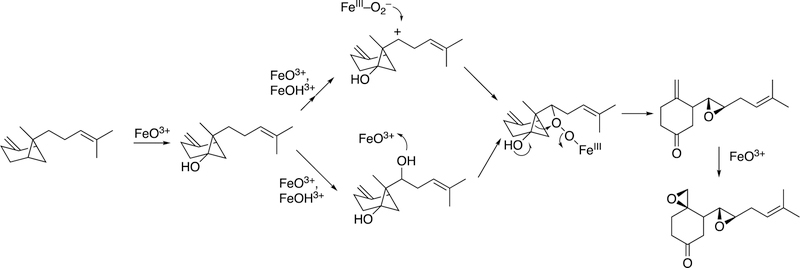 Figure 102.