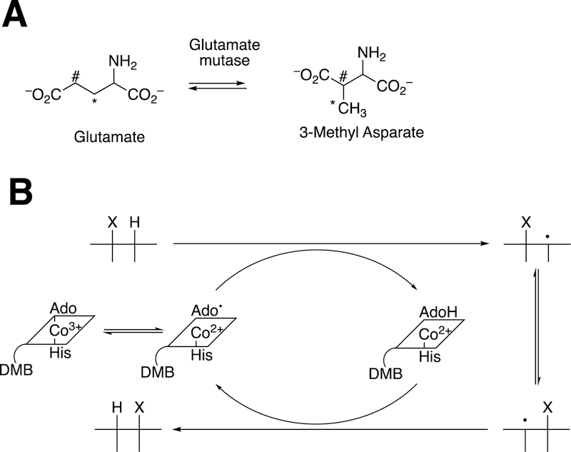 Figure 42.