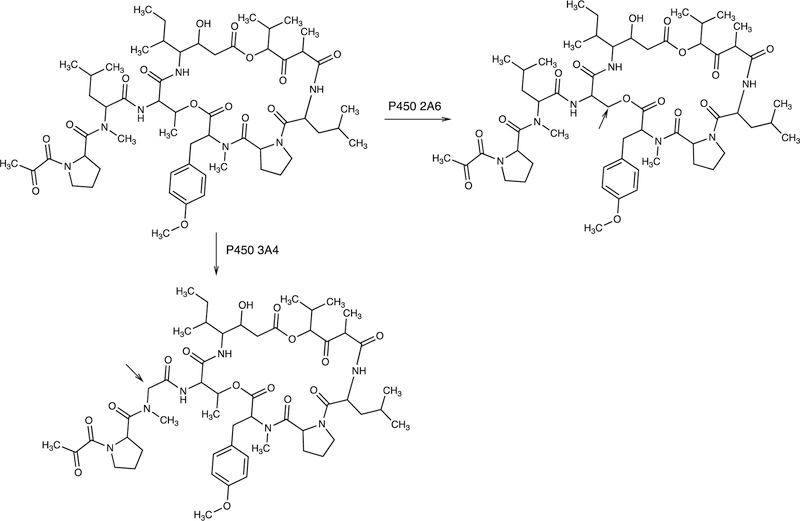 Figure 95.