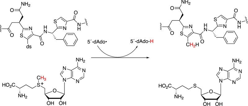 Figure 46.