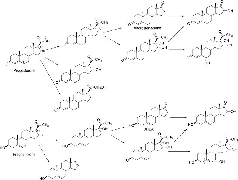 Figure 61.