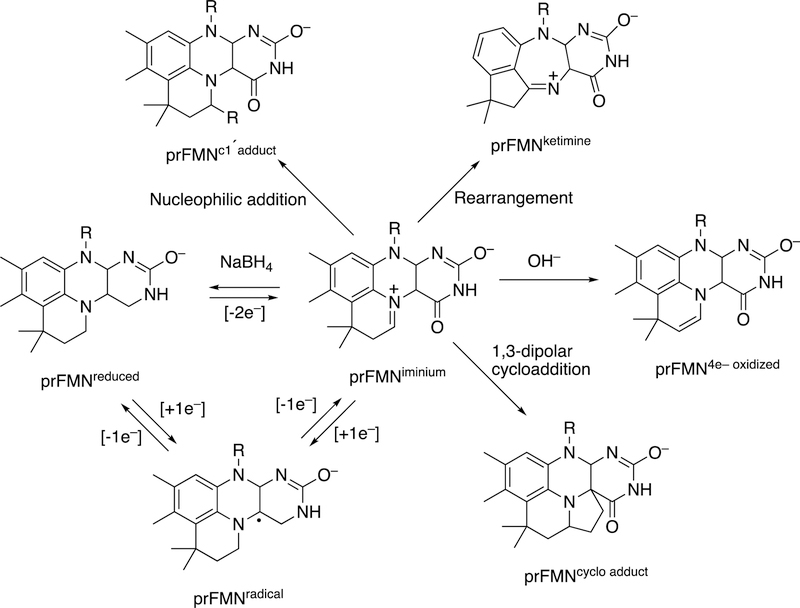 Figure 113.