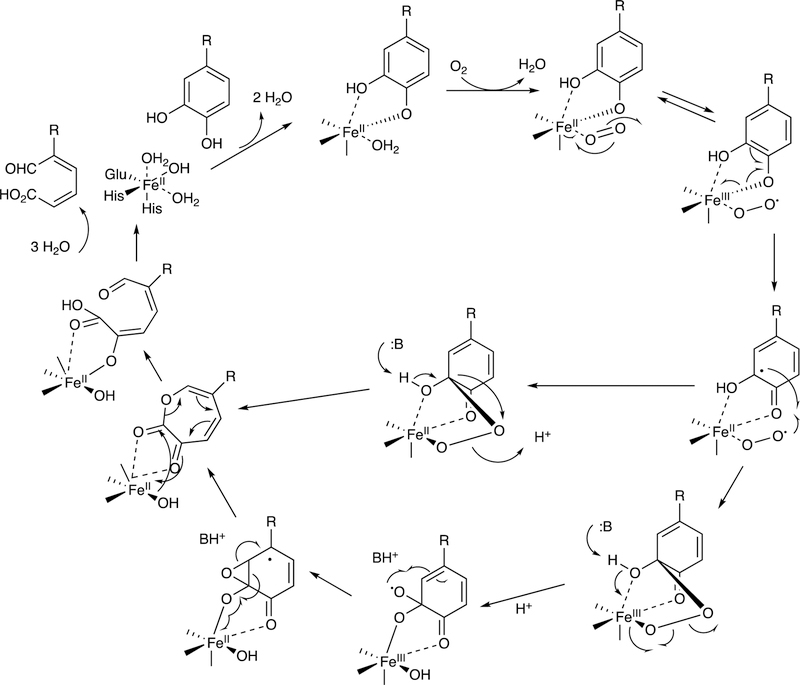 Figure 141.