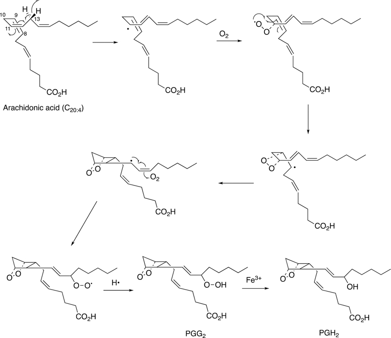 Figure 29.