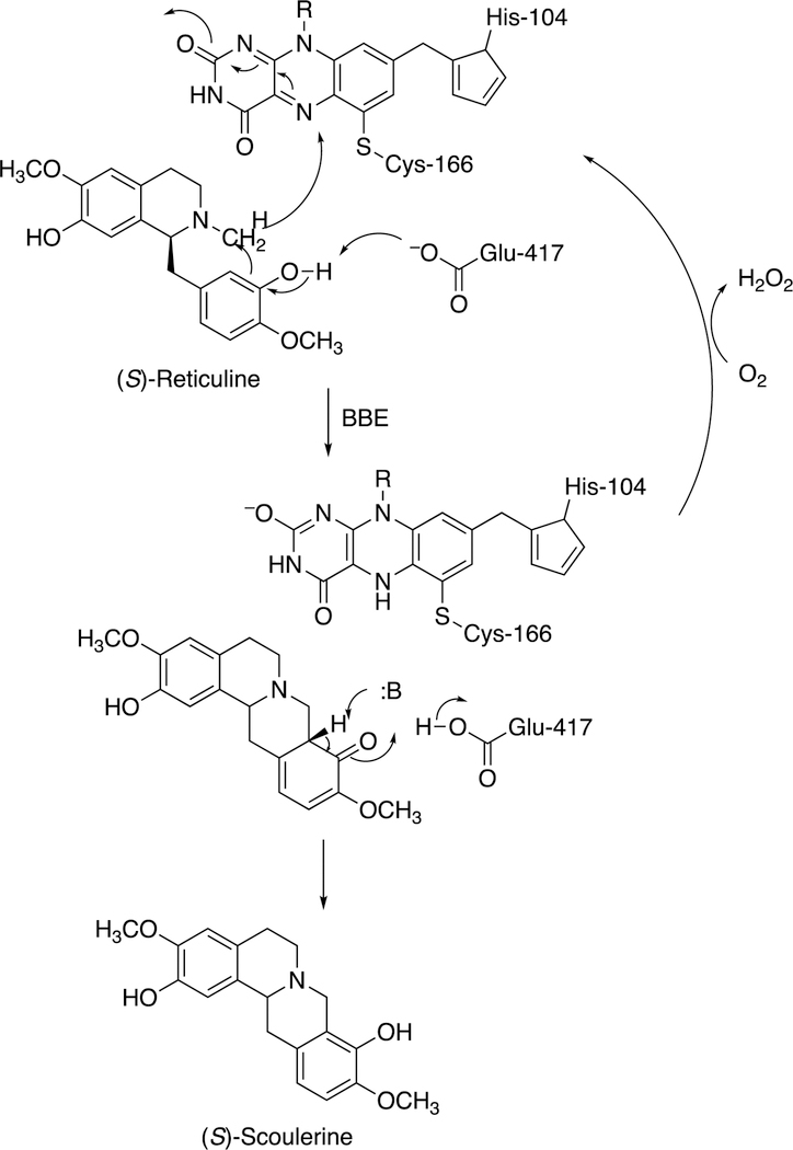 Figure 22.