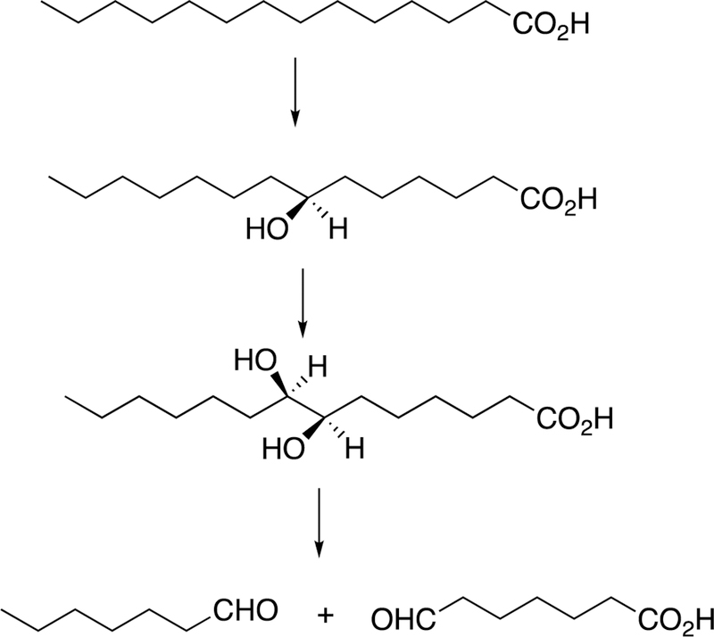 Figure 90.