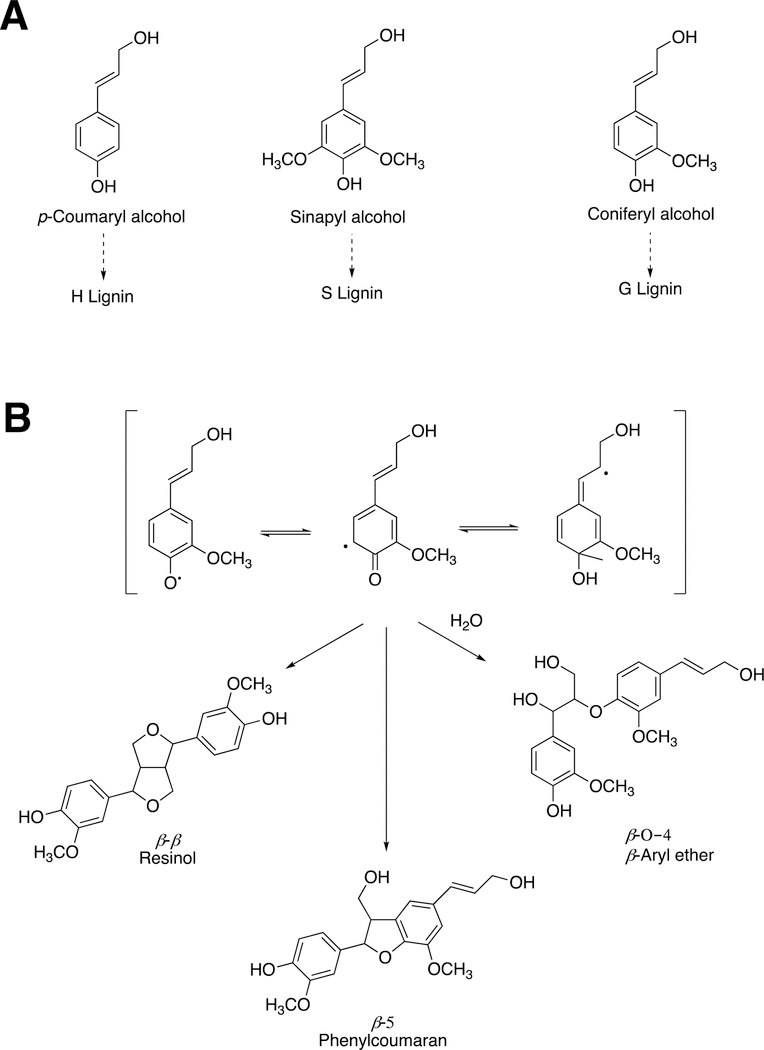 Figure 51.