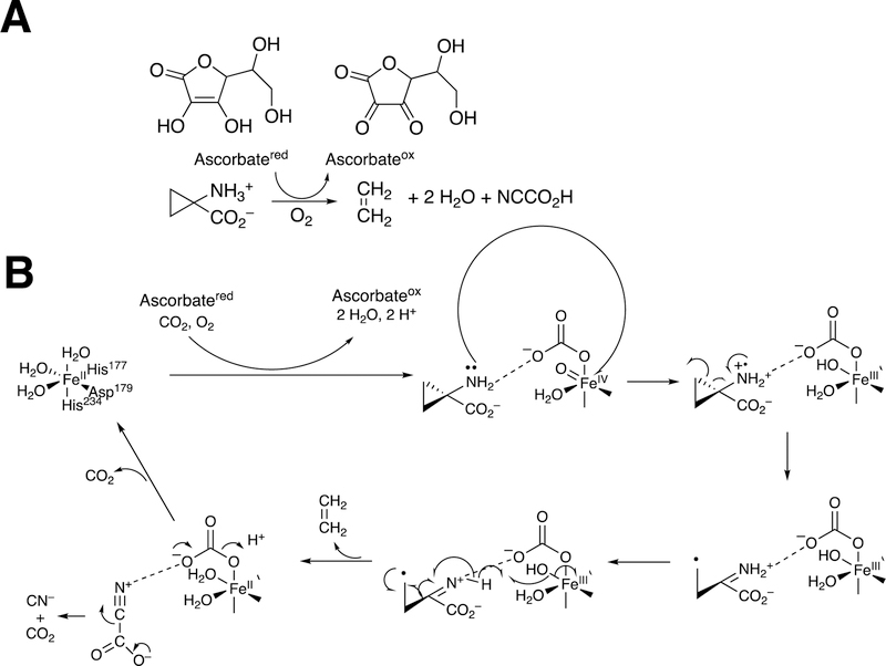 Figure 152.