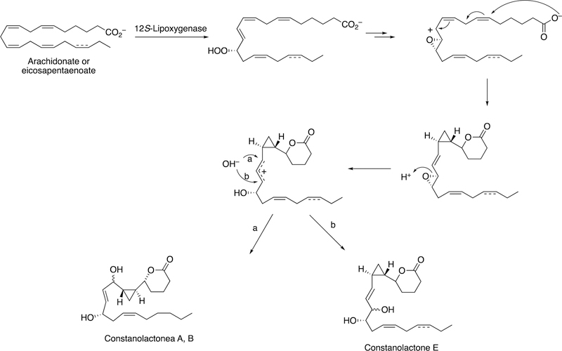 Figure 36.