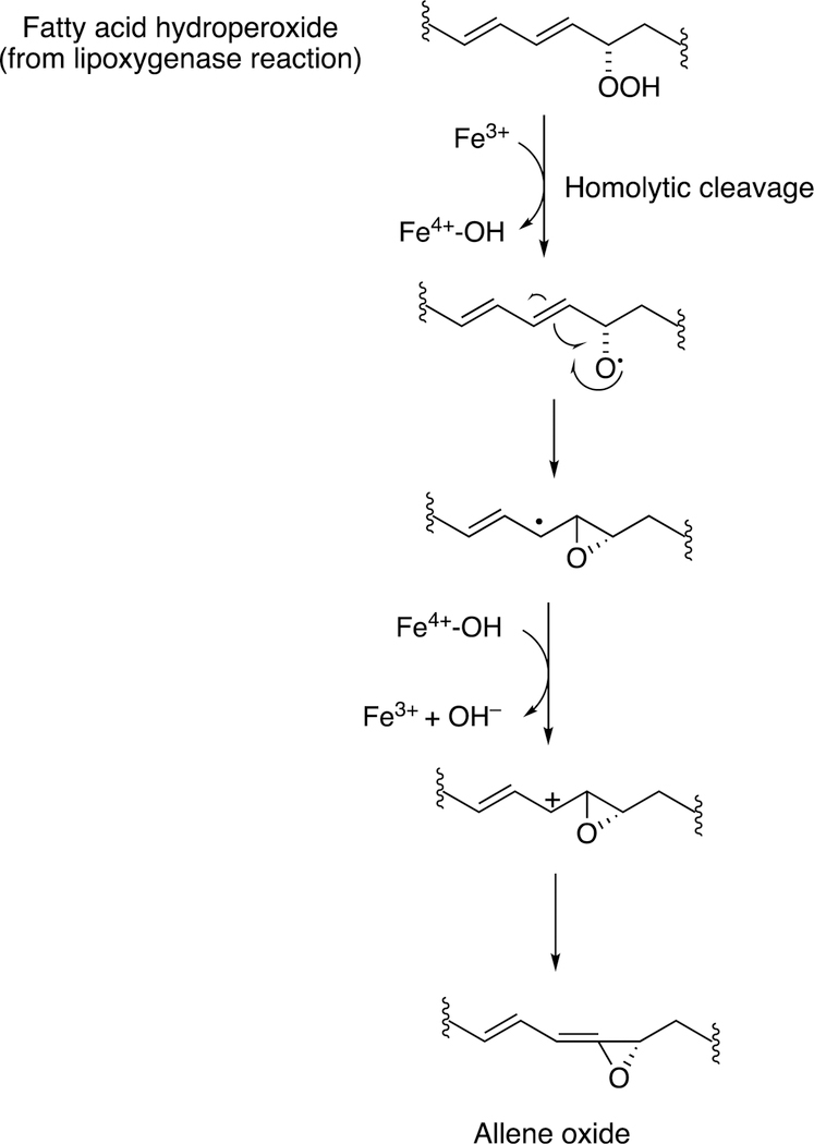 Figure 33.