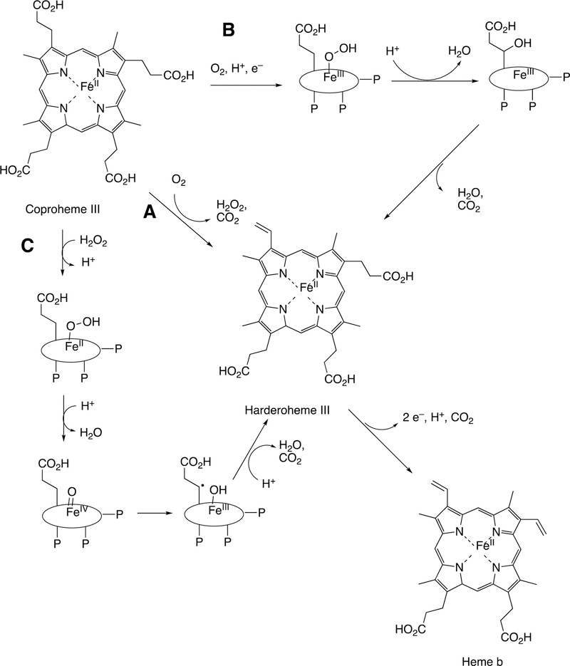 Figure 123.